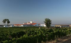 Torre de Palma, a Design Hotel
