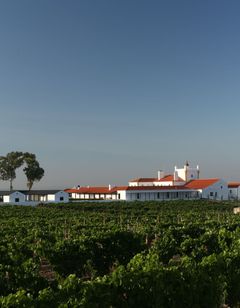 Torre de Palma, a Design Hotel