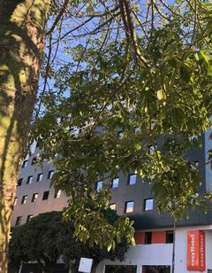 easyHotel Malaga City Centre