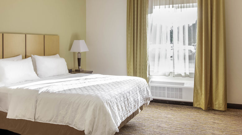 <b>Candlewood Suites Brighton Suite</b>. Images powered by <a href="https://www.leonardoworldwide.com/" title="Leonardo Worldwide" target="_blank">Leonardo</a>.