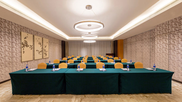 Holiday Inn Nanjing Xuanwu Lake Meeting