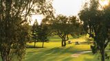 Paniolo Greens Resort Other