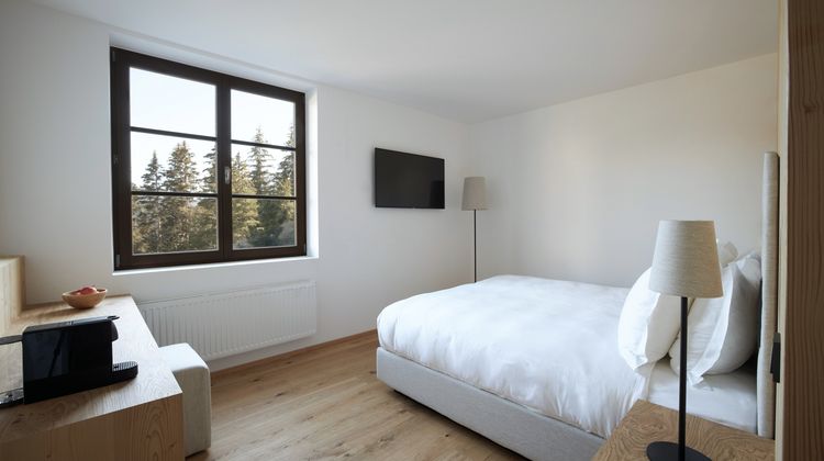 Forestis Suite
