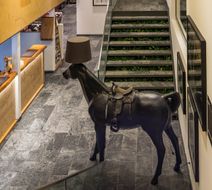 Nira Alpina, a Design Hotel Lobby