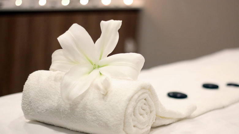 <b>Holiday Inn San Luis Potosi-Quijote Spa</b>. Images powered by <a href="https://www.leonardoworldwide.com/" title="Leonardo Worldwide" target="_blank">Leonardo</a>.