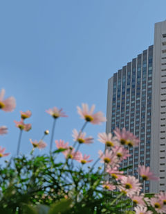 ANA InterContinental Tokyo