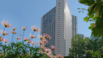 ANA InterContinental Tokyo