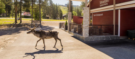 Lapland Hotel Sirkantahti Exterior