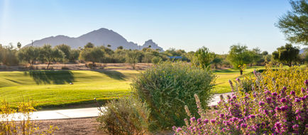 WorldMark Scottsdale Exterior
