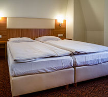 Hotel am Stadtpark Room