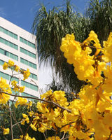 Holiday Inn San Luis Potosi-Quijote