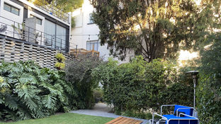 Pug Seal Boutique B&B Polanco