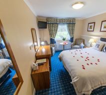 Norseman Hotel Room