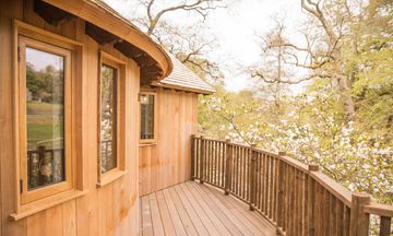 Wildhive Callow Hall