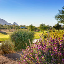 WorldMark Scottsdale