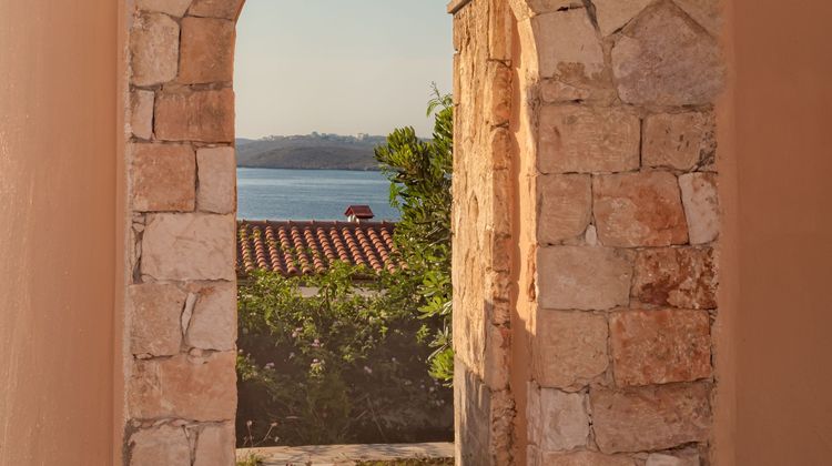 Creta Vitalis Other