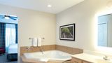 Wyndham Vacation Resorts-Mountain Vista Room