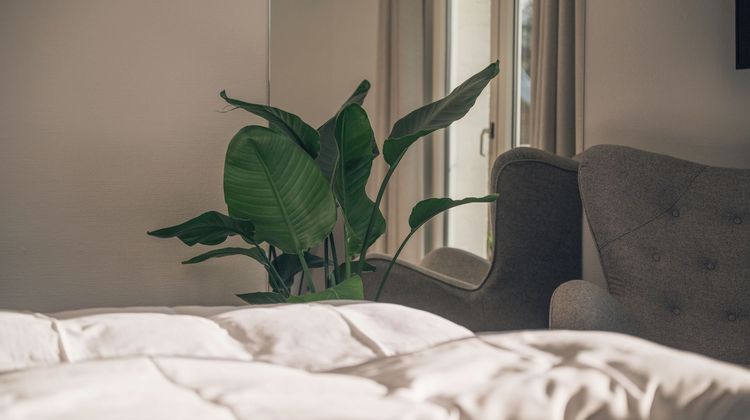 Brobyvaerk Kro Room