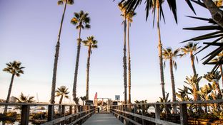 Paradise Point