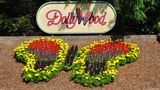 <b>Holiday Inn & Suites Pigeon Forge Other</b>. Images powered by <a href="https://www.leonardoworldwide.com/" title="Leonardo Worldwide" target="_blank">Leonardo</a>.