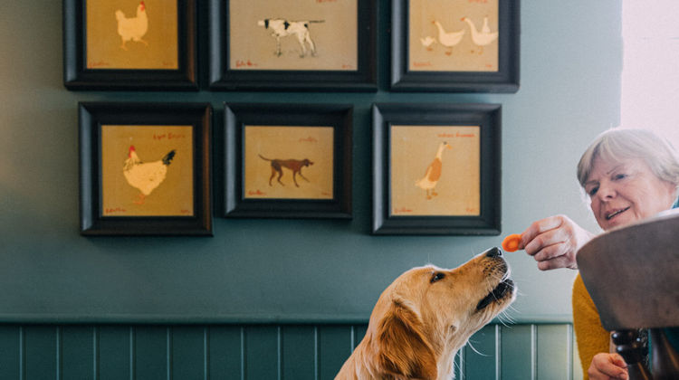 The Pointer Other