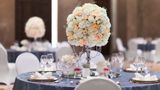 Taj Aravali Resort & Spa Ballroom