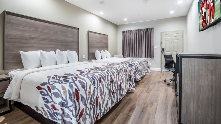 Red Roof Inn & Suites Mobile SW - I-10 Room