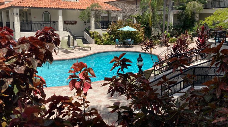 Red Roof PLUS+ Tampa - Busch Gardens Pool
