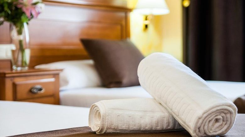 <b>Hotel Carlos I Toledo Room</b>. Images powered by <a href="https://www.leonardoworldwide.com/" title="Leonardo Worldwide" target="_blank">Leonardo</a>.