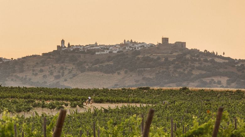 <b>Sao Lourenco do Barrocal Hotel Other</b>. Images powered by <a href="https://www.leonardoworldwide.com/" title="Leonardo Worldwide" target="_blank">Leonardo</a>.