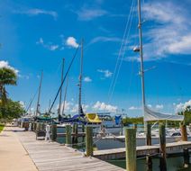 Skipjack Resort & Marina Exterior