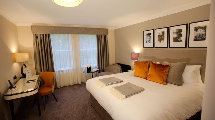 Ardoe House Hotel and Spa Room
