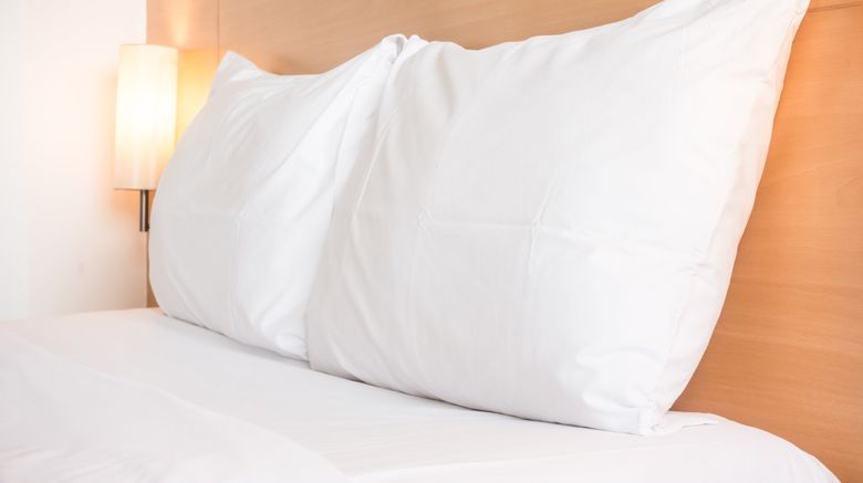 <b>Holiday Inn Guadalajara Select Room</b>. Images powered by <a href="https://www.leonardoworldwide.com/" title="Leonardo Worldwide" target="_blank">Leonardo</a>.