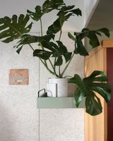 ACE Hotel Sydney
