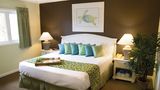 <b>Club Wyndham Grand Palms Room</b>. Images powered by <a href="https://www.leonardoworldwide.com/" title="Leonardo Worldwide" target="_blank">Leonardo</a>.