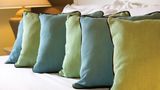 <b>Club Wyndham Grand Palms Other</b>. Images powered by <a href="https://www.leonardoworldwide.com/" title="Leonardo Worldwide" target="_blank">Leonardo</a>.
