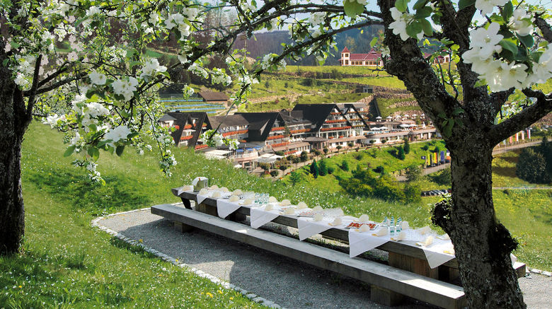 <b>Dollenberg Hotel Restaurant</b>. Images powered by <a href="https://www.leonardoworldwide.com/" title="Leonardo Worldwide" target="_blank">Leonardo</a>.