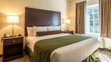 Cobblestone Hotel & Suites Greenville Suite