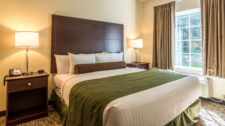 <b>Cobblestone Hotel & Suites Greenville Suite</b>. Images powered by <a href="https://www.leonardoworldwide.com/" title="Leonardo Worldwide" target="_blank">Leonardo</a>.