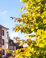 Hotel La Diligence