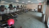 Holiday Inn Express & Suites Livonia Health Club