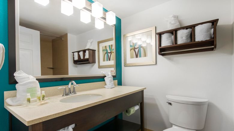 <b>Holiday Inn Savannah S I-95 Gateway Room</b>. Images powered by <a href="https://www.leonardoworldwide.com/" title="Leonardo Worldwide" target="_blank">Leonardo</a>.