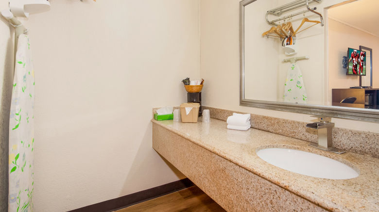 <b>Red Roof Inn Santee Room</b>. Images powered by <a href="https://www.leonardoworldwide.com/" title="Leonardo Worldwide" target="_blank">Leonardo</a>.