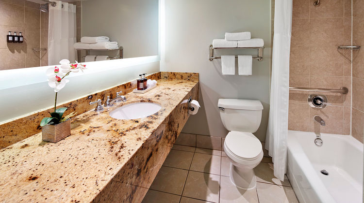 Carlyle Inn Room