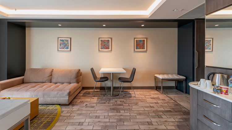 Holiday Inn Kayseri Duvenonu Suite
