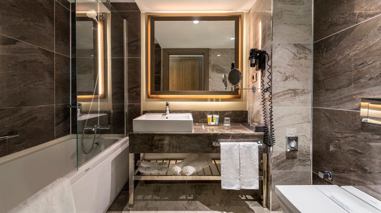 Holiday Inn Kayseri Duvenonu Room