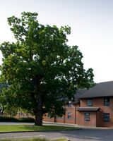 Premier Inn Lowestoft