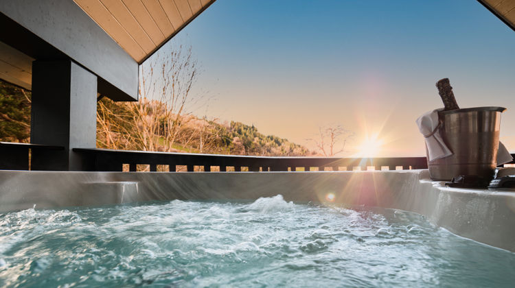 Wild Pheasant Hotel and Spa Room
