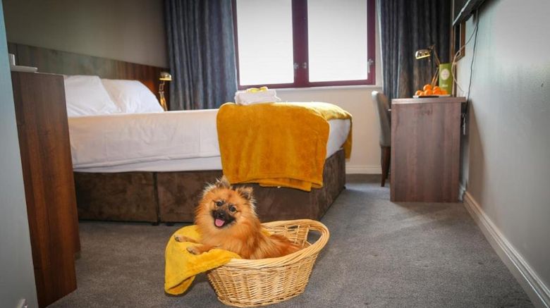 <b>Creggan Court Hotel Other</b>. Images powered by <a href="https://www.leonardoworldwide.com/" title="Leonardo Worldwide" target="_blank">Leonardo</a>.