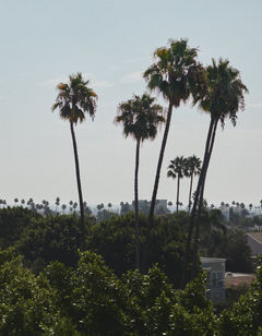 L'Ermitage Beverly Hills